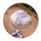 6m Alfresco Dining Pod - Banquet Dome Gallery image 1
